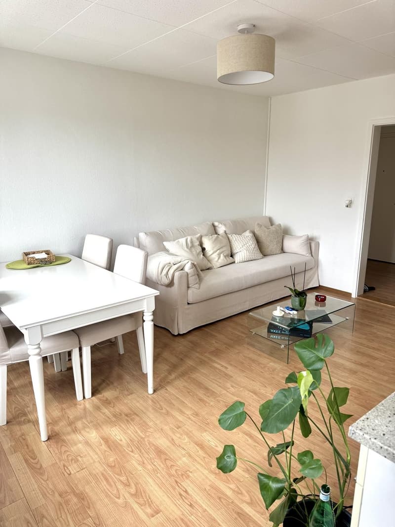 Appartement de 3,5 pièces meublé et lumineux au dernier étage à Hegibachplatz (Seefeld) en sous-location Aug-Jan (2)
