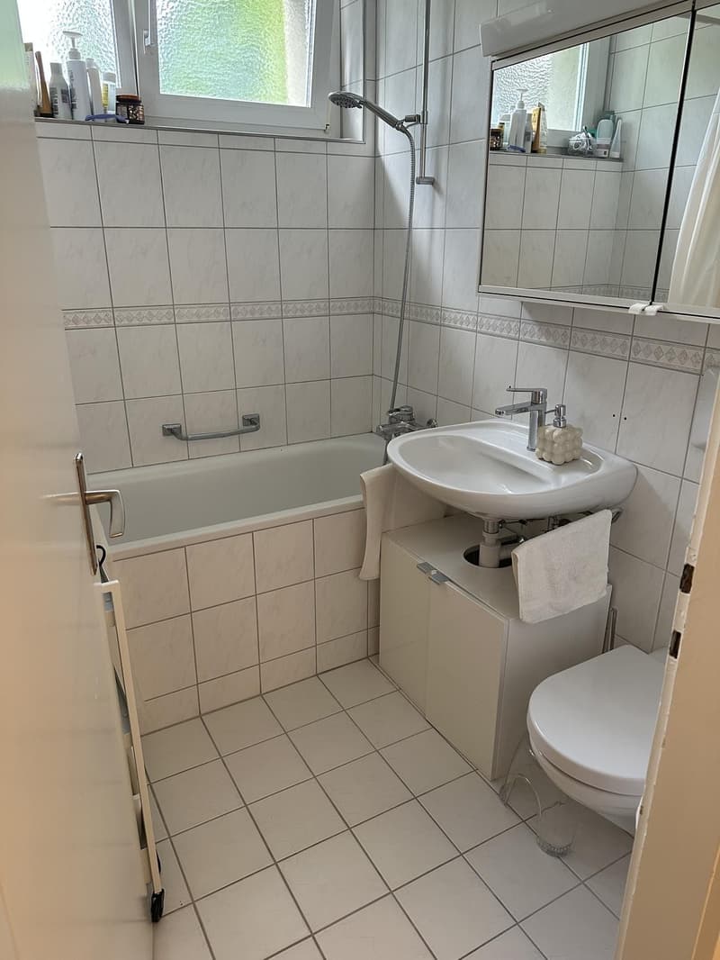 Tolle & helle 3.5-ZWG in Zürich zu vermieten / Bright & Spacious 3.5-Room Apartment for Rent in Zurich (6)