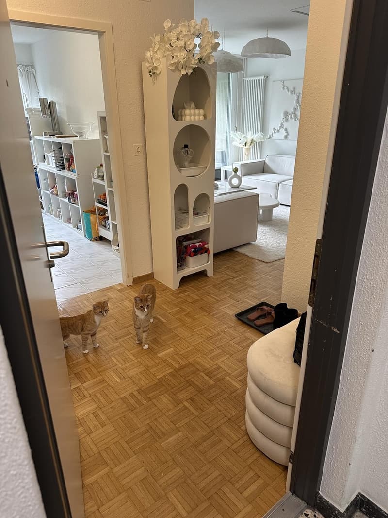 Tolle & helle 3.5-ZWG in Zürich zu vermieten / Bright & Spacious 3.5-Room Apartment for Rent in Zurich (7)