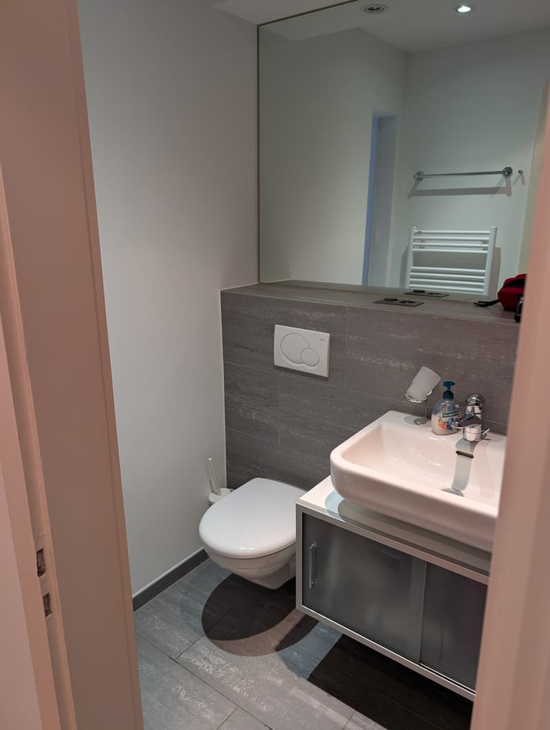 Voll möblierte 1,5-Zimmer-Wohnung an Top-Lage ab sofort verfügbar (4)