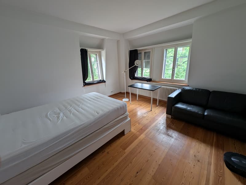 Voll möblierte 1,5-Zimmer-Wohnung an Top-Lage ab sofort verfügbar (1)