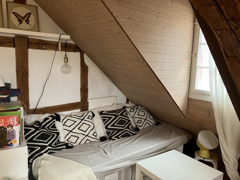 2.5 connected furnished rooms in shared house in Zürich-Wiedikon (3)