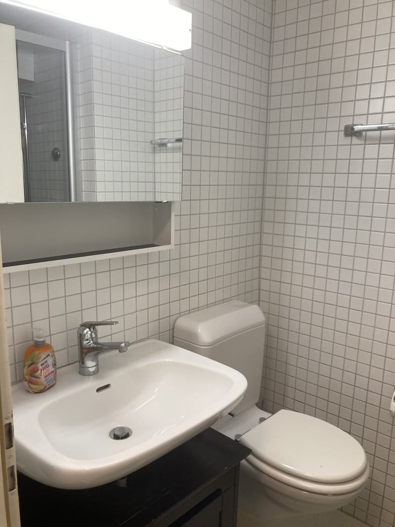 Shared toilet/bathroom