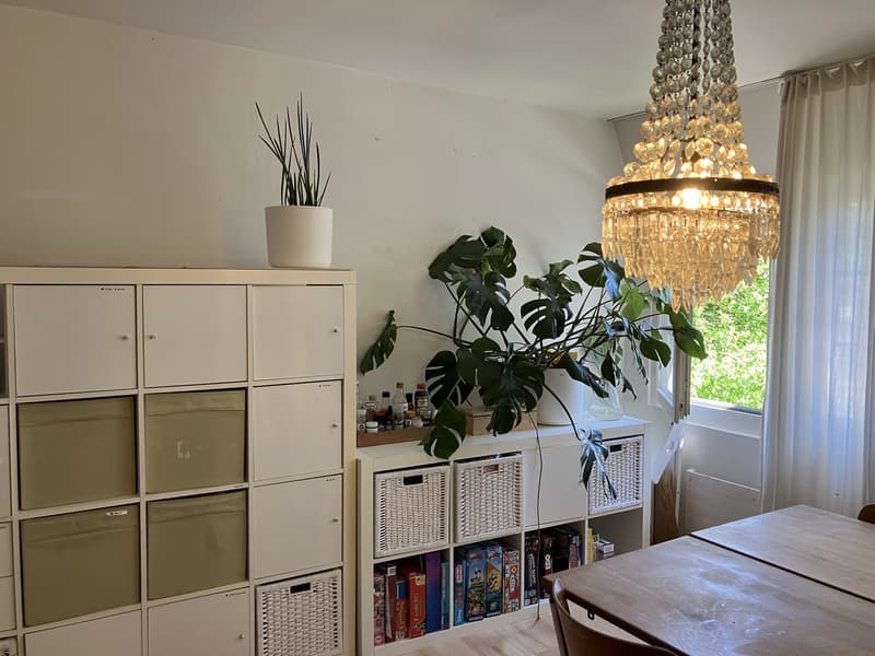 2.5 connected furnished rooms in shared house in Zürich-Wiedikon (13)