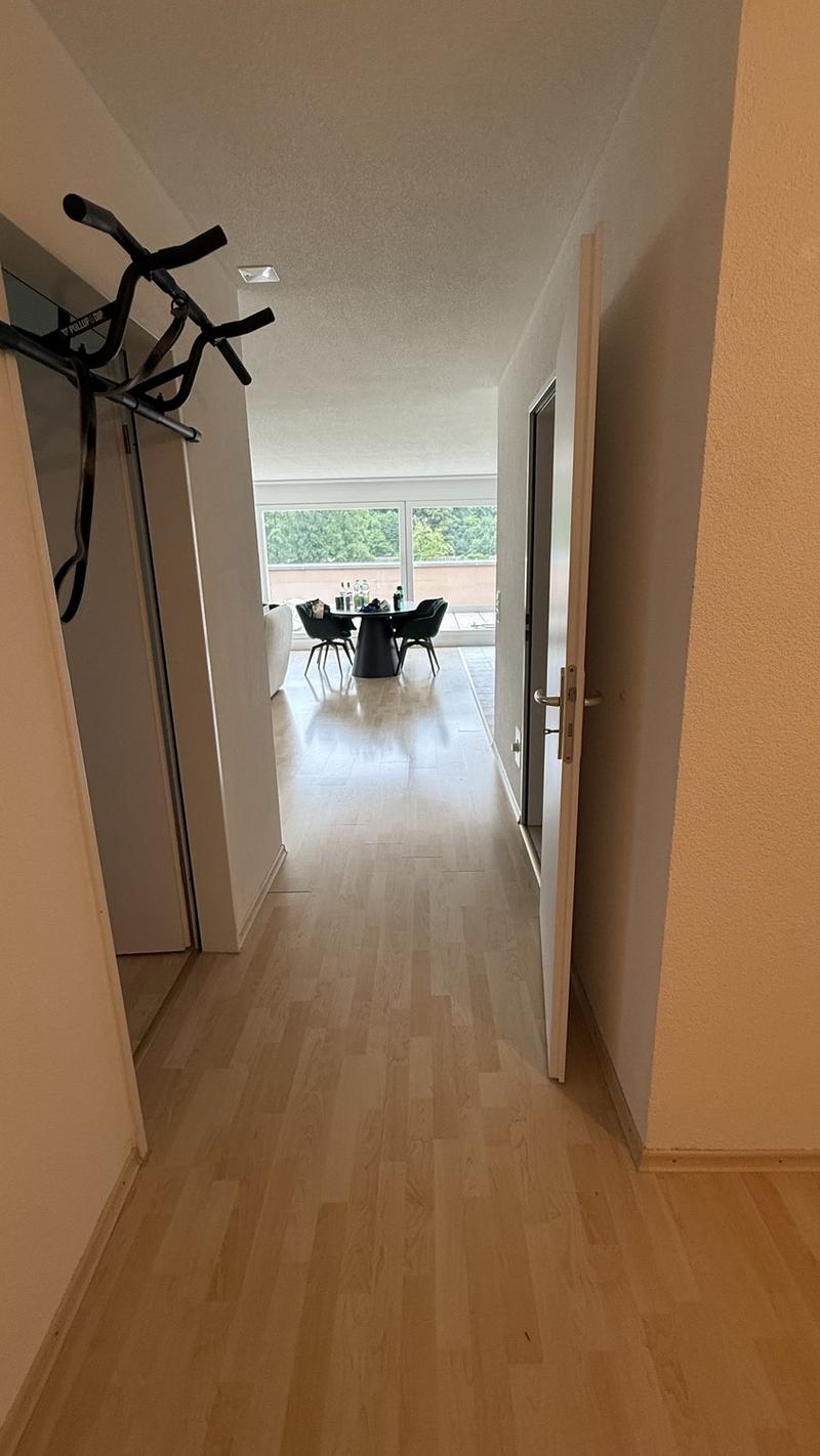 Tenant sought for bright 2.5 room apartment (8)