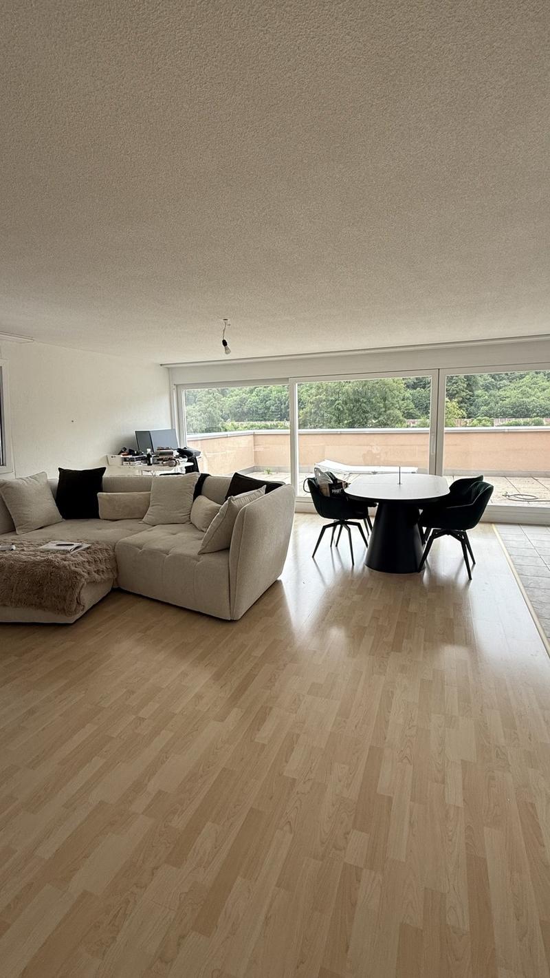 Tenant sought for bright 2.5 room apartment (7)