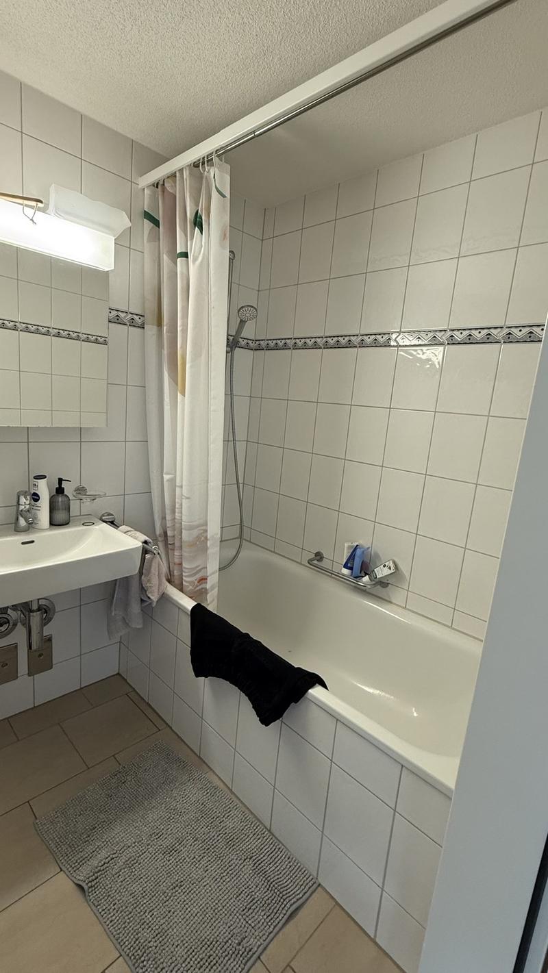 Tenant sought for bright 2.5 room apartment (5)