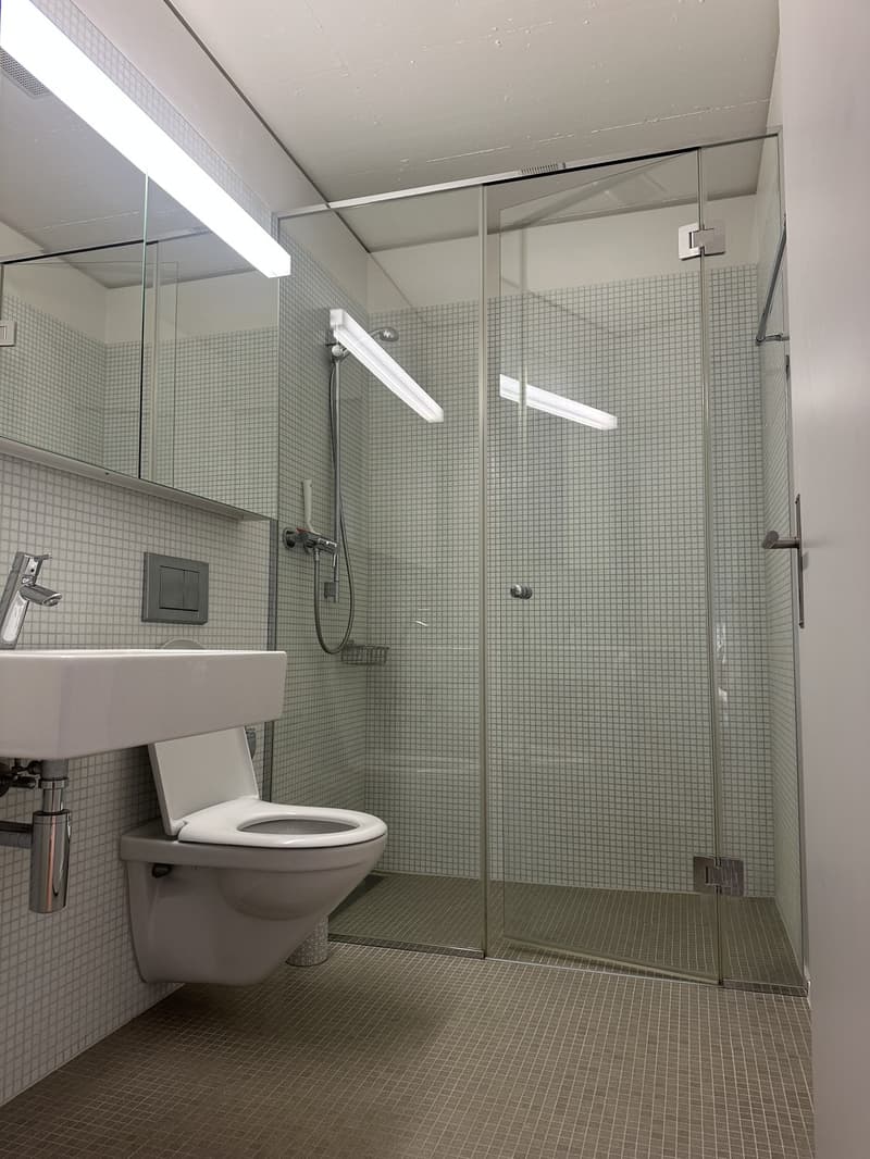 WG Zimmer in Zürich mieten (4)