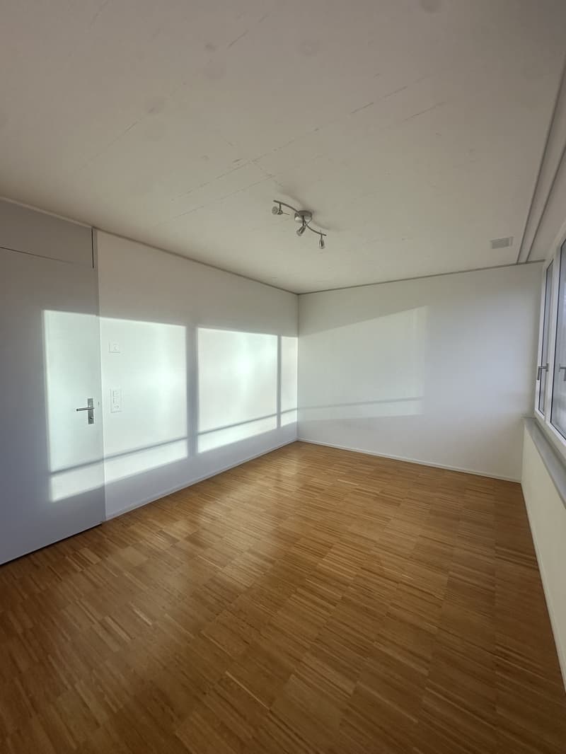 WG Zimmer in Zürich mieten (3)
