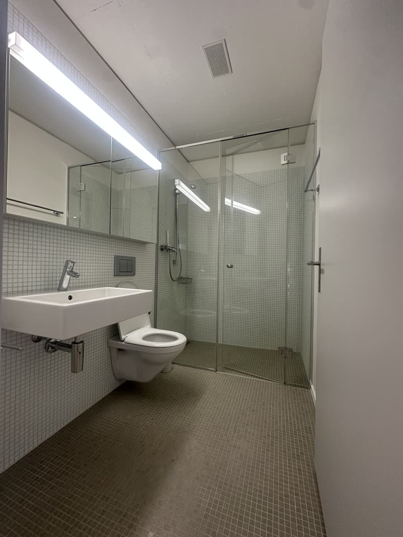 WG Zimmer in Zürich mieten (5)