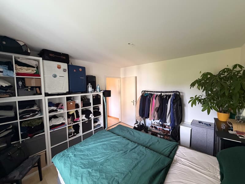 Helle 2-Zimmerwohnung mit grossem Balkon, Parkplatz und ruhiger Lage in Uster (6)