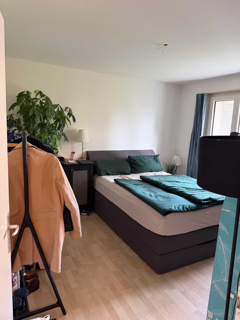 Helle 2-Zimmerwohnung mit grossem Balkon, Parkplatz und ruhiger Lage in Uster (5)