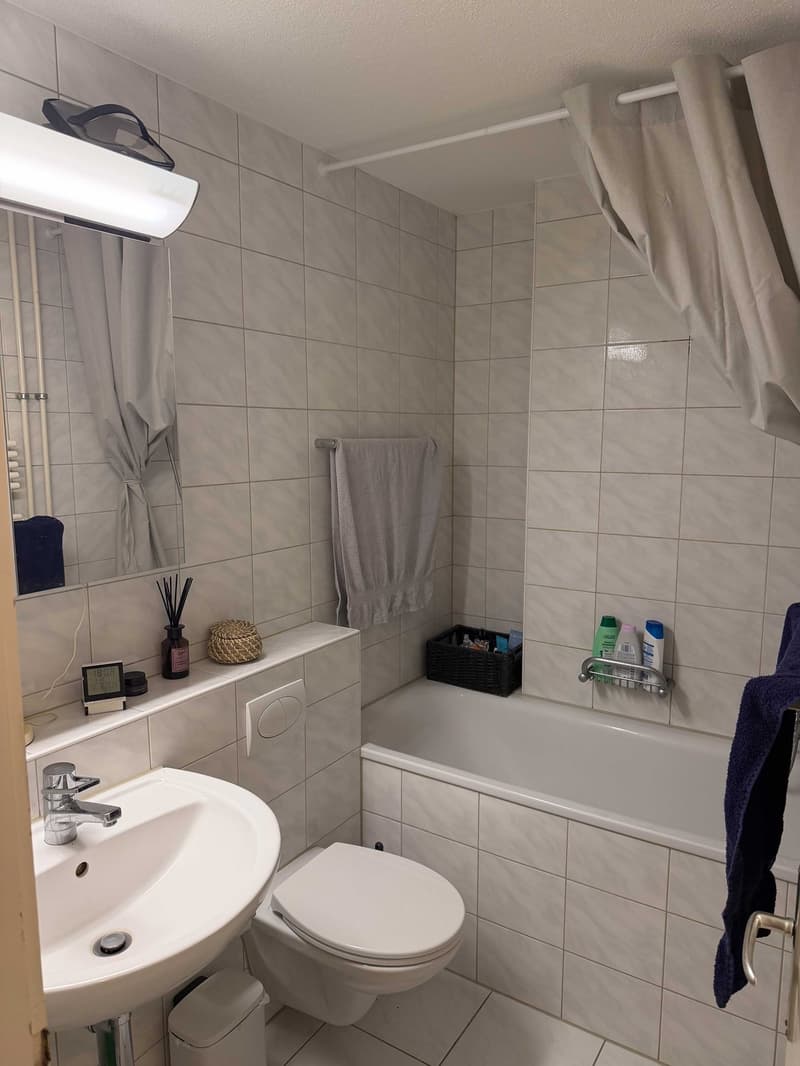 Helle 2-Zimmerwohnung mit grossem Balkon, Parkplatz und ruhiger Lage in Uster (11)