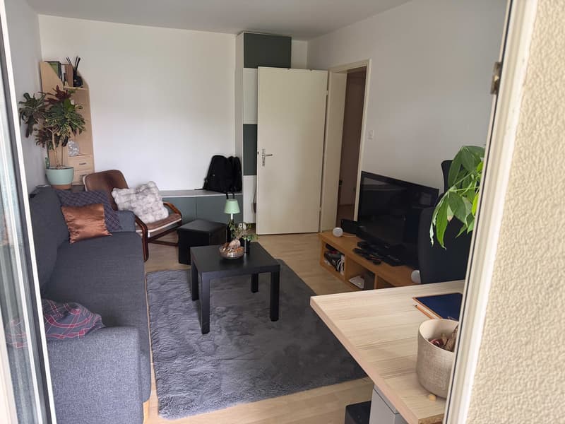 Helle 2-Zimmerwohnung mit grossem Balkon, Parkplatz und ruhiger Lage in Uster (4)