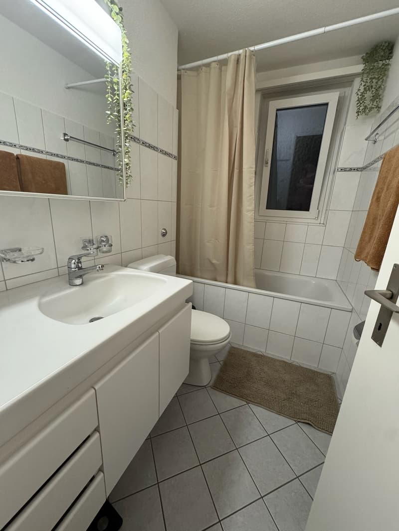 Appartement 4 pièces lumineux (2)