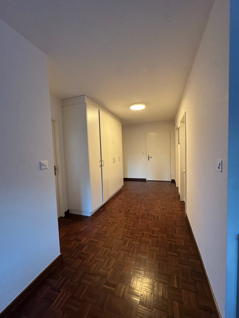 Appartement 4 pièces lumineux (4)