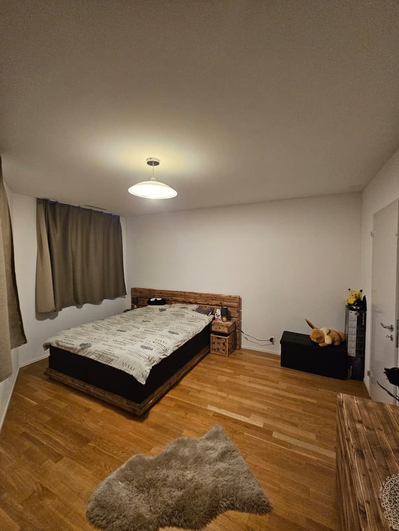 Appartamento 3.5 locali (2)
