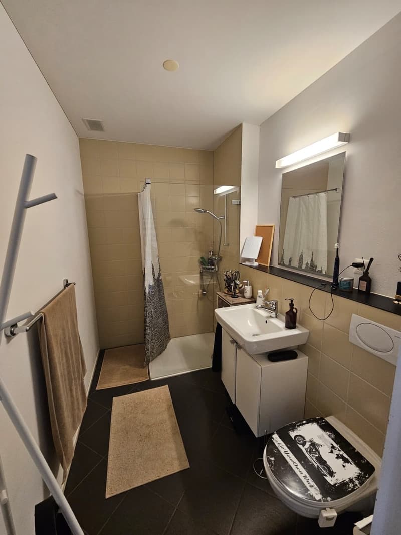 Appartamento 3.5 locali (8)