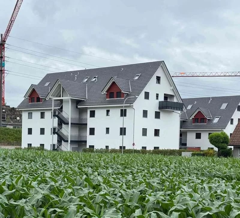 Moderne 4.5-Zimmer-Maisonettewohnung in Weiningen ZH (2)