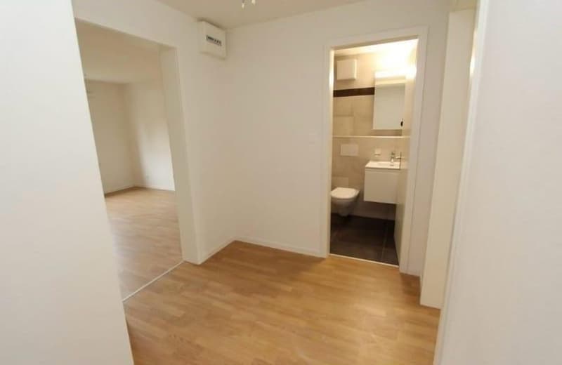 Appartamento di 3 locali affascinante per vivere in centro e con tutti i comfort (3)