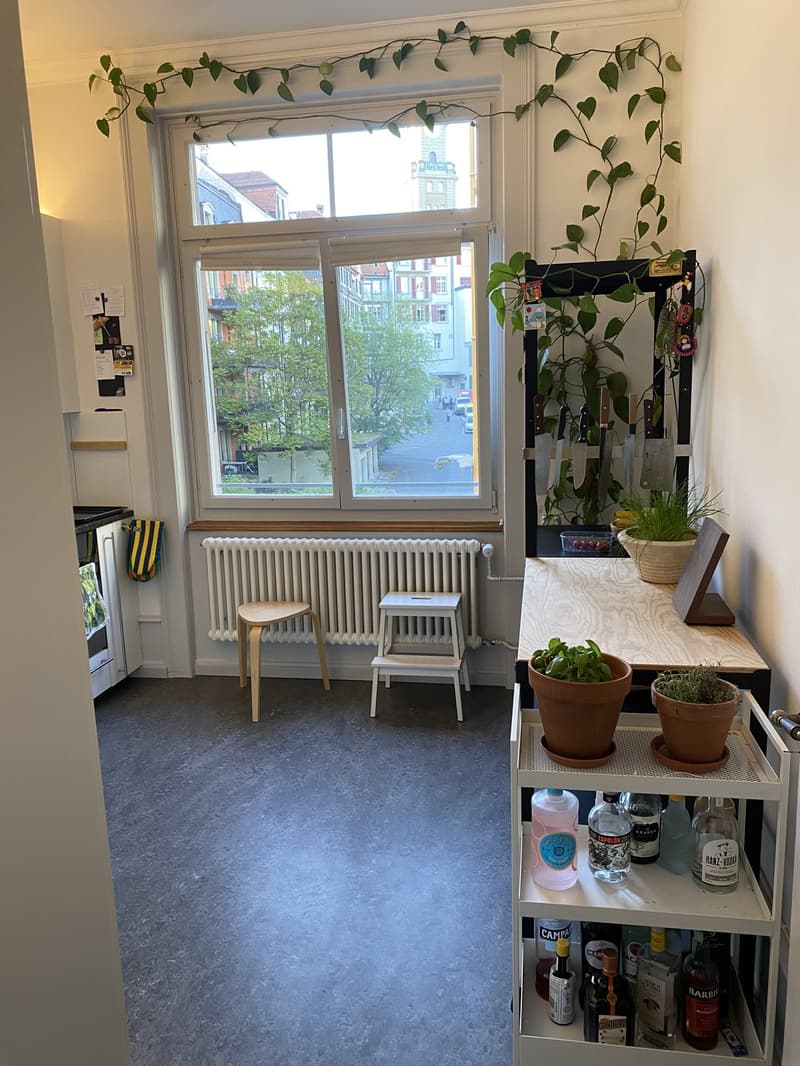 Beautiful and light 3-room apartment in the heart of Bern - available for short term sub-let. (5)