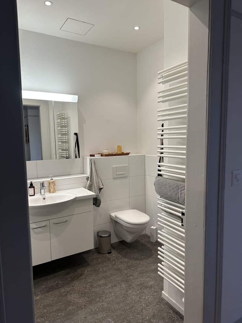 Beautiful and light 3-room apartment in the heart of Bern - available for short term sub-let. (9)