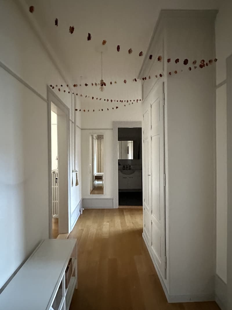 Beautiful and light 3-room apartment in the heart of Bern - available for short term sub-let. (3)