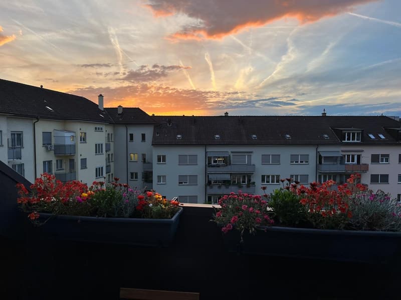 Lovely 2.5-room apartment with balcony in Zurich Wiedikon, available on July 1st (7)