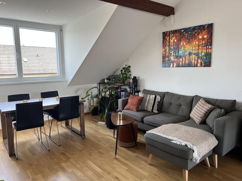 Lovely 2.5-room apartment with balcony in Zurich Wiedikon, available on July 1st (1)
