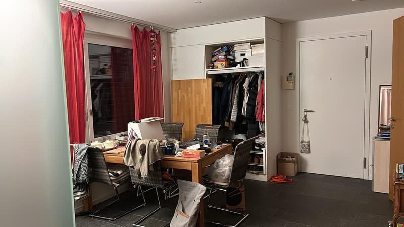 Appartement moderne 2.5 pièces dans un quartier calme (quartier familial) (6)