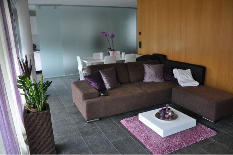 Appartement moderne 2.5 pièces dans un quartier calme (quartier familial) (3)