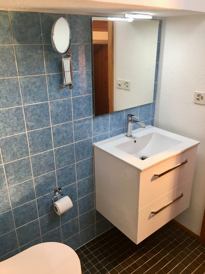 Charmant appartement de 2,5 pièces dans un immeuble ancien avec une belle vue dans le vert Obermeilen (4)