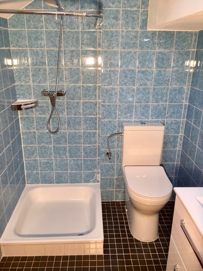 Charmant appartement de 2,5 pièces dans un immeuble ancien avec une belle vue dans le vert Obermeilen (7)