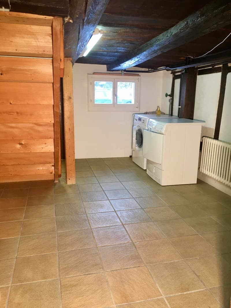 Charmant appartement de 2,5 pièces dans un immeuble ancien avec une belle vue dans le vert Obermeilen (6)