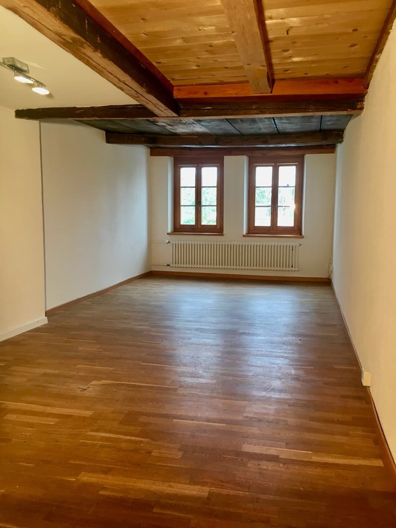 Charmant appartement de 2,5 pièces dans un immeuble ancien avec une belle vue dans le vert Obermeilen (1)