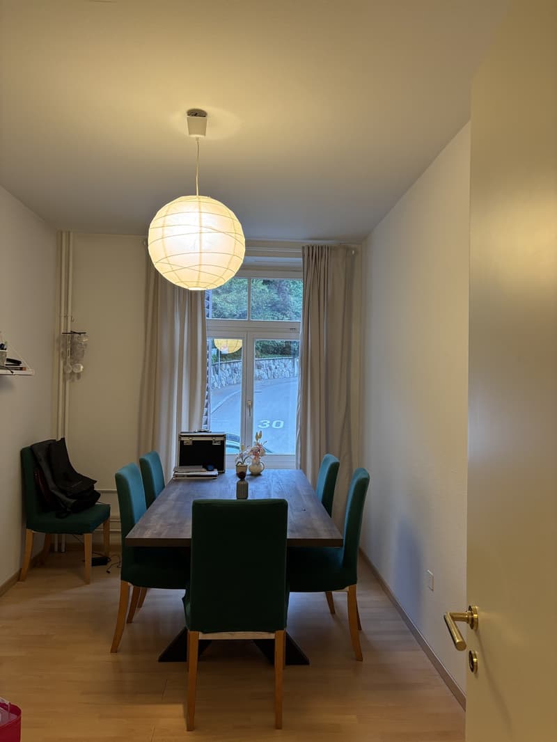 Appartement central de 3 pièces recherche un colocataire (7)
