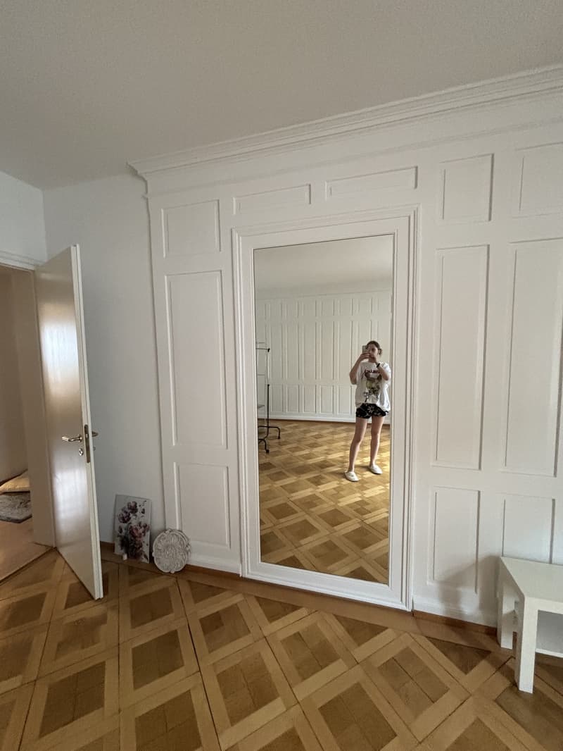 Appartement central de 3 pièces recherche un colocataire (6)