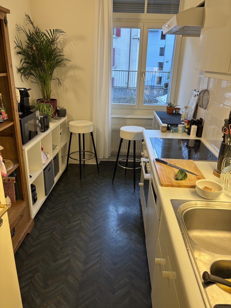 Appartement central de 3 pièces recherche un colocataire (9)