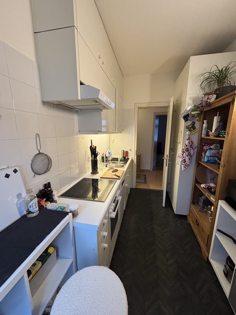 Appartement central de 3 pièces recherche un colocataire (4)