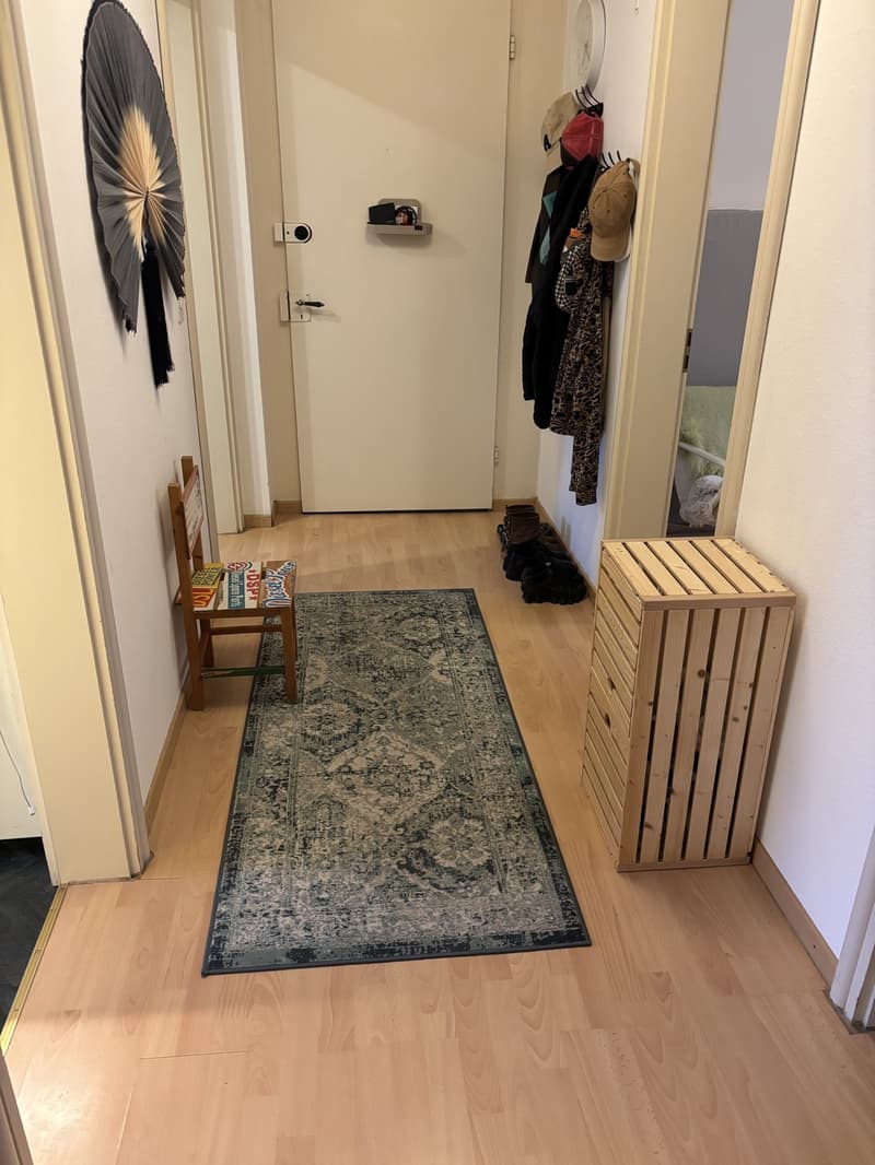 Appartement central de 3 pièces recherche un colocataire (8)