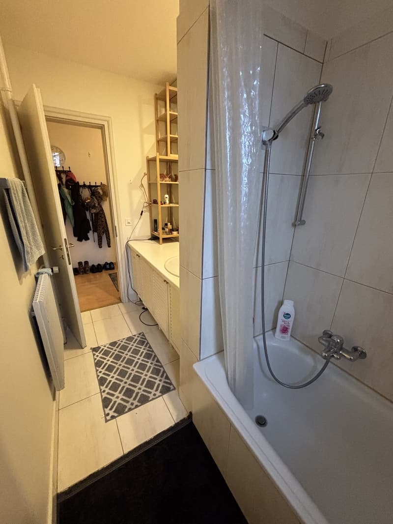 Appartement central de 3 pièces recherche un colocataire (3)