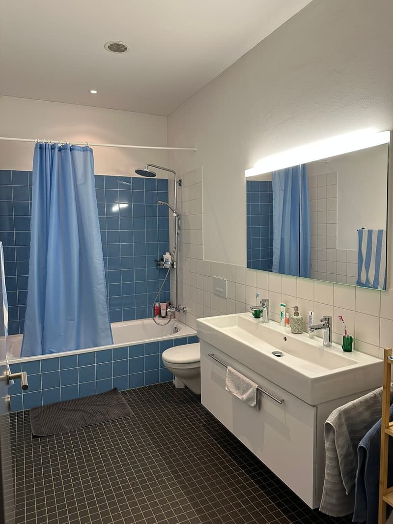 Furnished Apartment with Private Garden Patio for Sublet (01 Nov 2026 01 Aug 2027) (11)
