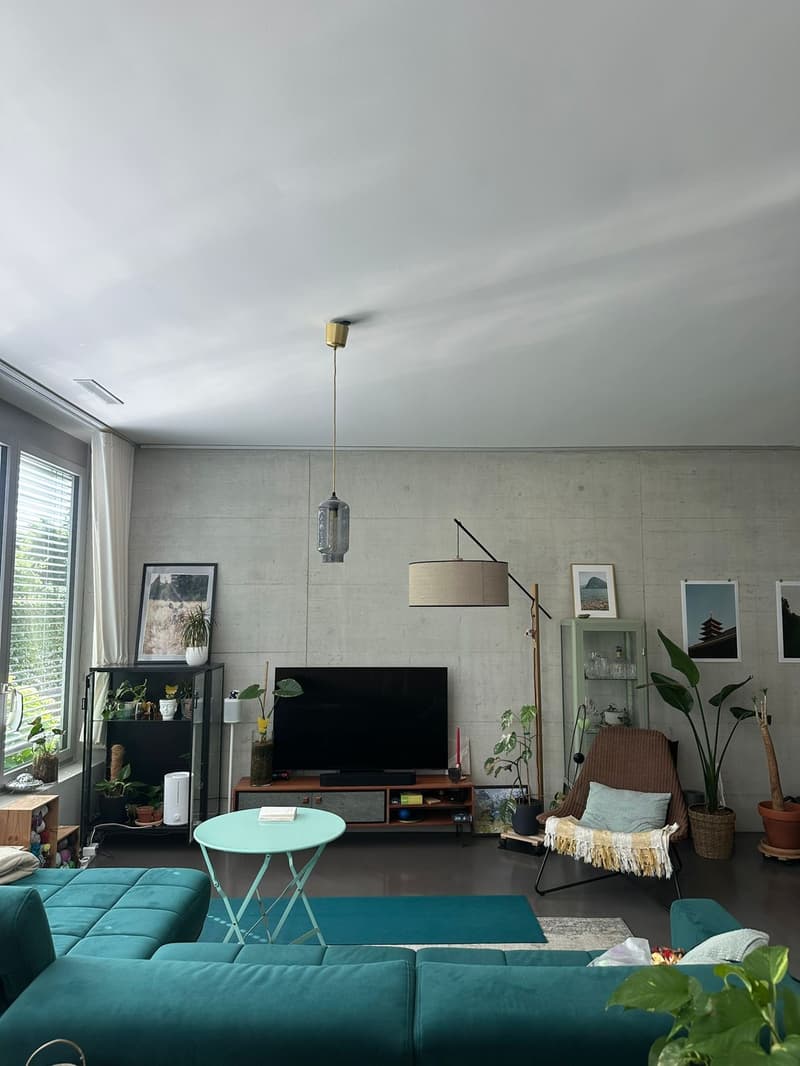Furnished Apartment with Private Garden Patio for Sublet (01 Nov 2026 01 Aug 2027) (6)
