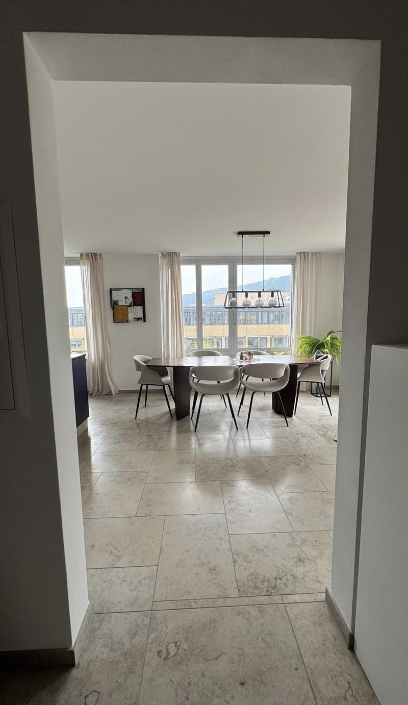 Camera in condivisione (appartamento condiviso 2 persone) con terrazza sul tetto a Zurigo Binz (3)