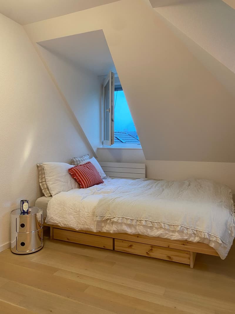 Appartement mansardé de 1,5 pièces dans le district 4 (3)