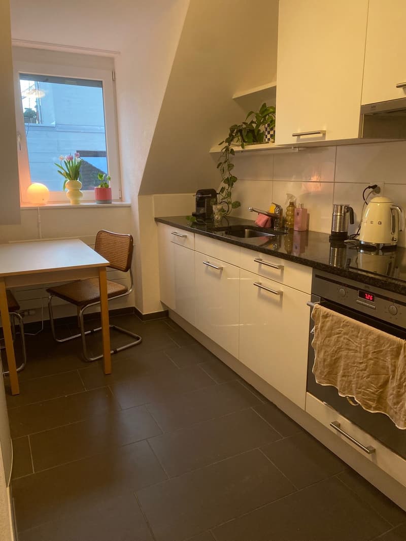 Appartement mansardé de 1,5 pièces dans le district 4 (1)