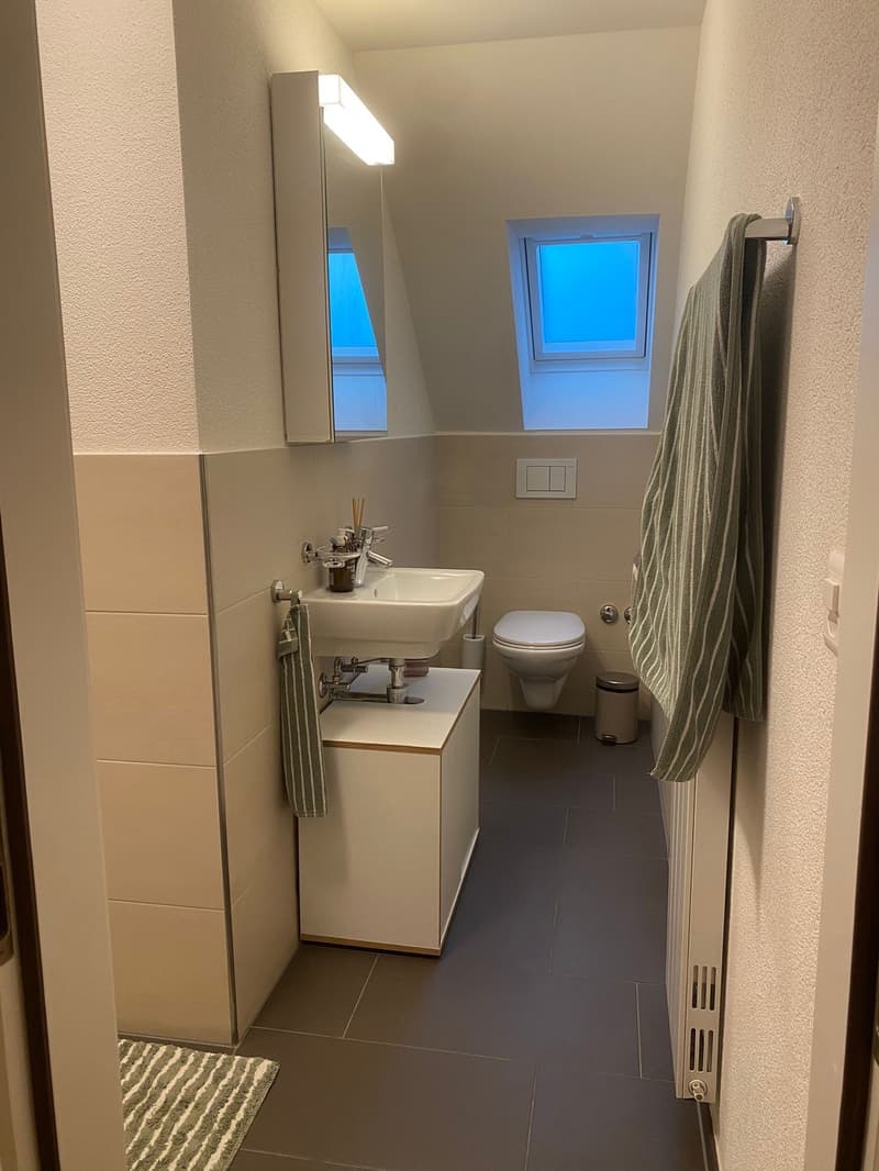 Appartement mansardé de 1,5 pièces dans le district 4 (4)
