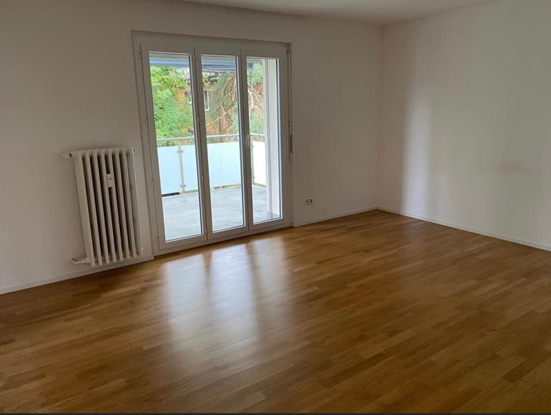 EG 3 Zimmer Wohnung in Adliswil (4)