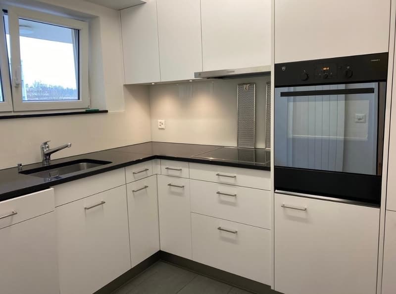 EG 3 Zimmer Wohnung in Adliswil (6)