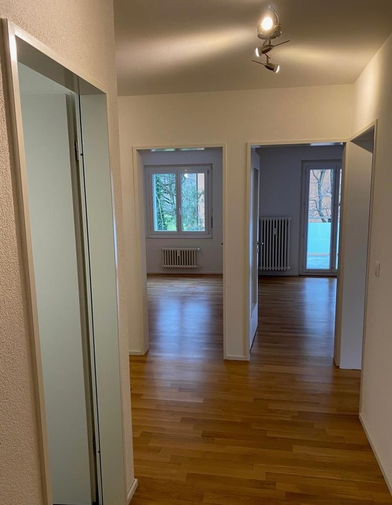 EG 3 Zimmer Wohnung in Adliswil (1)